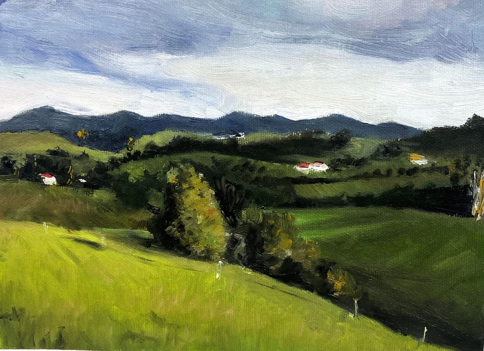 Pintures a l'oli